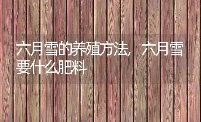 六月雪的养殖方法,六月雪要什么肥料 | 养殖学堂