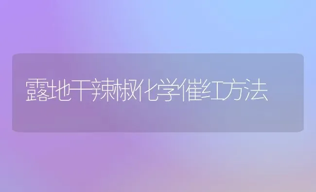 露地干辣椒化学催红方法 | 养殖技术大全