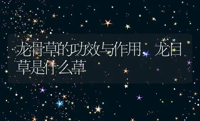 龙骨草的功效与作用,龙目草是什么草 | 养殖学堂