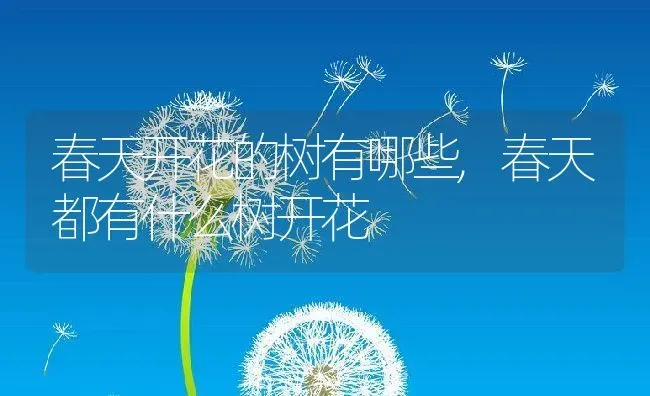 春天开花的树有哪些,春天都有什么树开花 | 养殖学堂