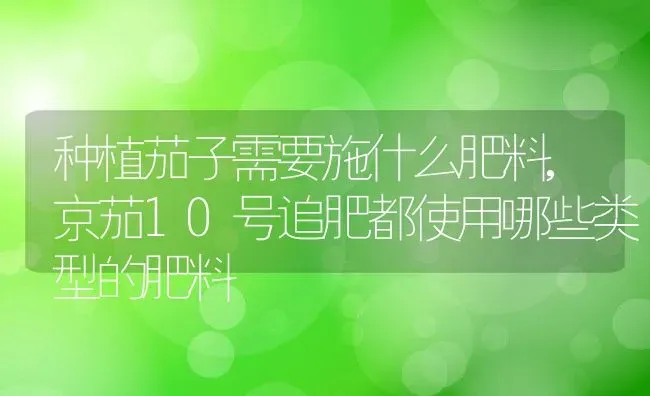 黄瓜白粉病的症状及防治技术,白粉病是由什么引起的 | 养殖学堂