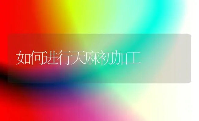 如何进行天麻初加工 | 养殖技术大全