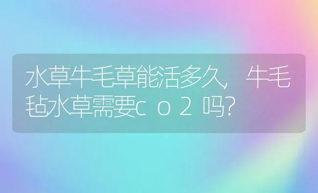 水草牛毛草能活多久,牛毛毡水草需要co2吗？ | 养殖科普