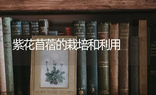 紫花苜蓿的栽培和利用 | 养殖技术大全