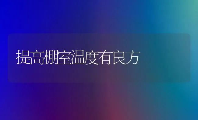 提高棚室温度有良方 | 养殖知识