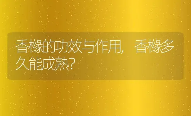 香橼的功效与作用,香橼多久能成熟？ | 养殖科普