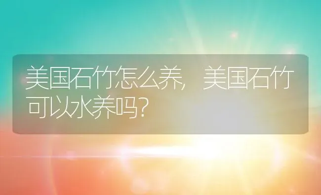 美国石竹怎么养,美国石竹可以水养吗？ | 养殖科普