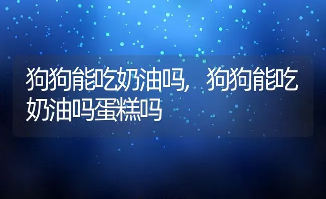 狗狗能吃奶油吗,狗狗能吃奶油吗蛋糕吗 | 养殖科普