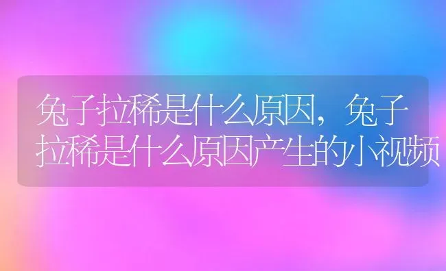 兔子拉稀是什么原因,兔子拉稀是什么原因产生的小视频 | 养殖科普