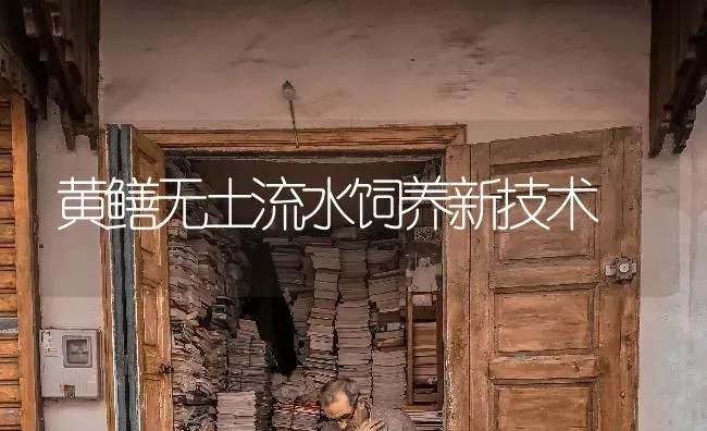 黄鳝无土流水饲养新技术 | 养殖技术大全