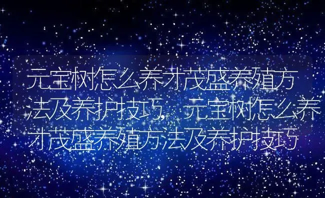 春天公园里有什么花,公园里的花开了用什么标点符号？ | 养殖科普