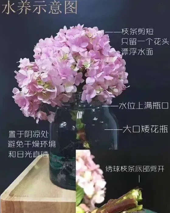 新买的鲜花怎么醒花,网上买的花怎么醒水？