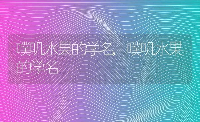 噗叽水果的学名,噗叽水果的学名 | 养殖科普