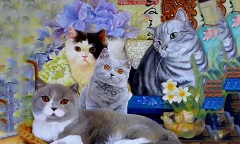 十大宠物猫排名,猫猫品种十大名猫？