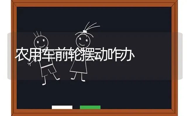 农用车前轮摆动咋办 | 养殖技术大全