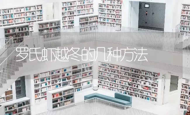 罗氏虾越冬的几种方法 | 养殖技术大全