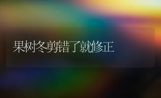 贮藏板栗的几种常见方法 | 养殖技术大全