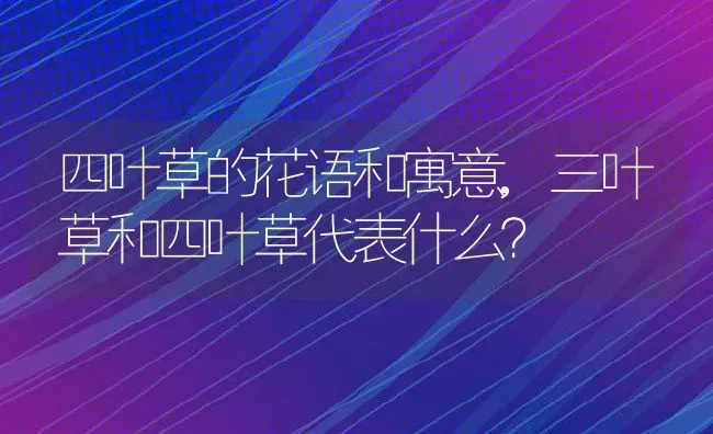 四叶草的花语和寓意,三叶草和四叶草代表什么？ | 养殖科普