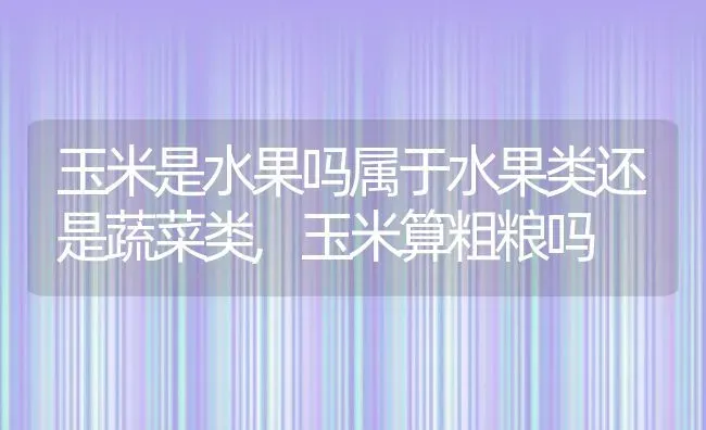 玉米是水果吗属于水果类还是蔬菜类,玉米算粗粮吗 | 养殖学堂