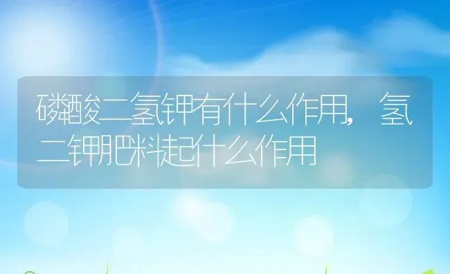 磷酸二氢钾有什么作用,氢二钾肥料起什么作用 | 养殖学堂