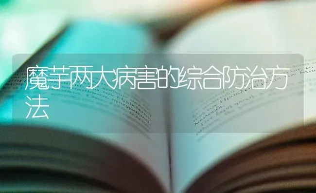 魔芋两大病害的综合防治方法 | 养殖技术大全