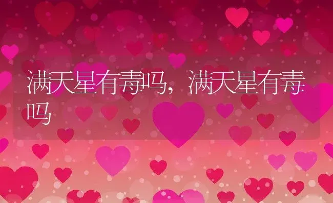 满天星有毒吗,满天星有毒吗 | 养殖科普