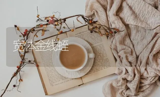 宽体金线蛭 | 养殖技术大全