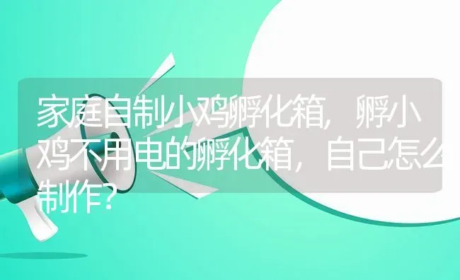 家庭自制小鸡孵化箱,孵小鸡不用电的孵化箱，自己怎么制作？ | 养殖科普