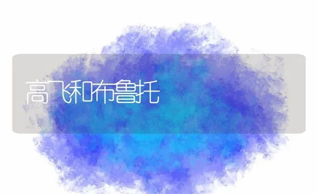 高飞和布鲁托 | 养殖科普