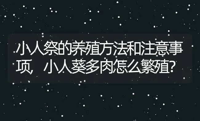 小人祭的养殖方法和注意事项,小人葵多肉怎么繁殖？ | 养殖科普