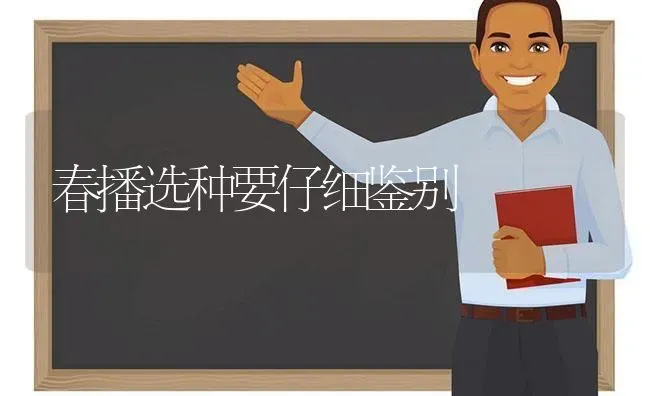 春播选种要仔细鉴别 | 养殖技术大全