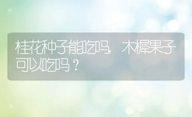 桂花种子能吃吗,木樨果子可以吃吗？ | 养殖科普