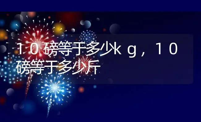 10磅等于多少kg,10磅等于多少斤 | 养殖资料