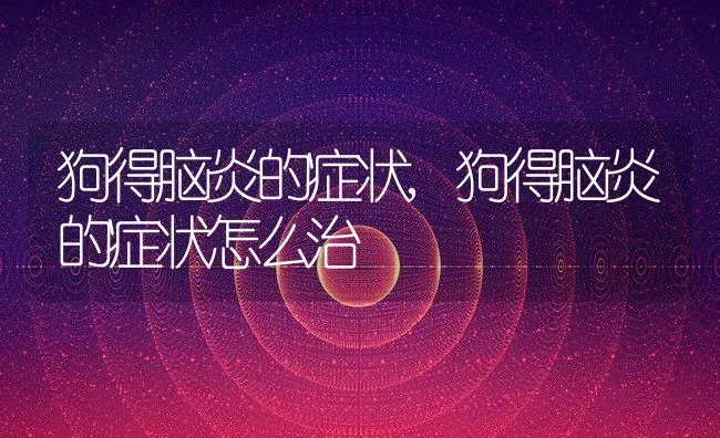 狗得脑炎的症状,狗得脑炎的症状怎么治 | 养殖资料