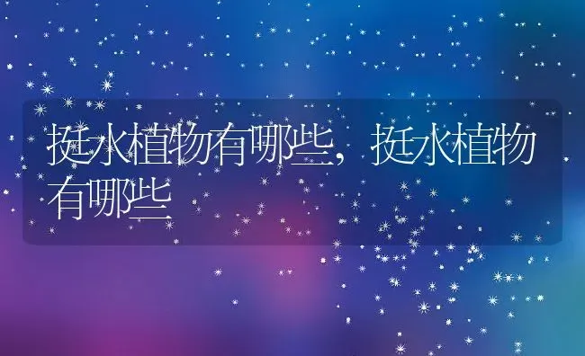 耐寒室内绿植大型盆栽有哪些,北方十大客厅耐阴大型木本绿植？ | 养殖科普