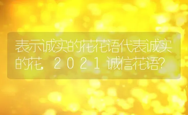 表示诚实的花花语代表诚实的花,2021诚信花语？ | 养殖科普