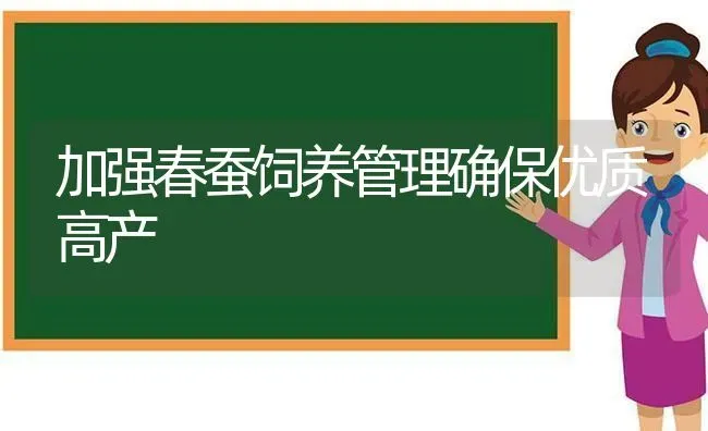 加强春蚕饲养管理确保优质高产 | 养殖知识