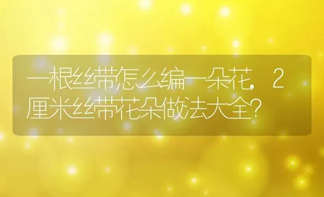 一根丝带怎么编一朵花,2厘米丝带花朵做法大全？ | 养殖学堂
