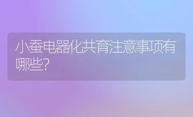 小蚕电器化共育注意事项有哪些? | 养殖知识