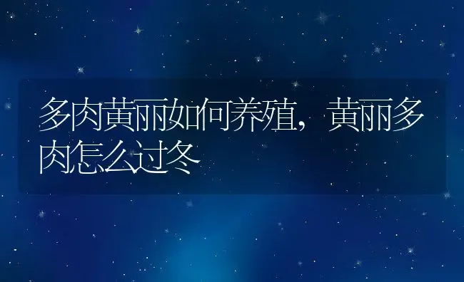 多肉黄丽如何养殖,黄丽多肉怎么过冬 | 养殖学堂