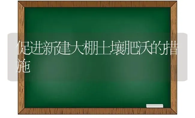 促进新建大棚土壤肥沃的措施 | 养殖知识