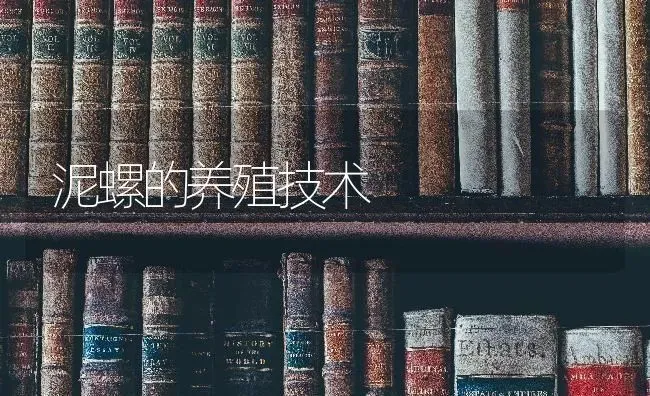 泥螺的养殖技术 | 养殖知识