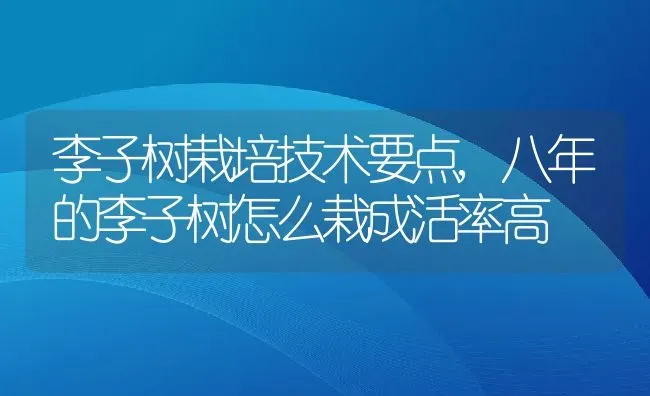 李子树栽培技术要点,八年的李子树怎么栽成活率高 | 养殖学堂