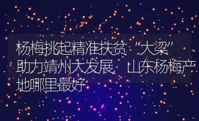杨梅挑起精准扶贫“大梁”助力靖州大发展,山东杨梅产地哪里最好 | 养殖学堂