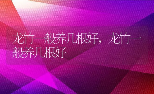 龙竹一般养几根好,龙竹一般养几根好 | 养殖科普