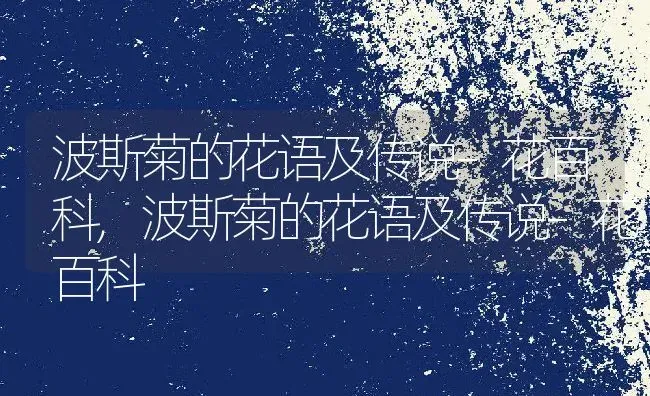 波斯菊的花语及传说–花百科,波斯菊的花语及传说–花百科 | 养殖科普