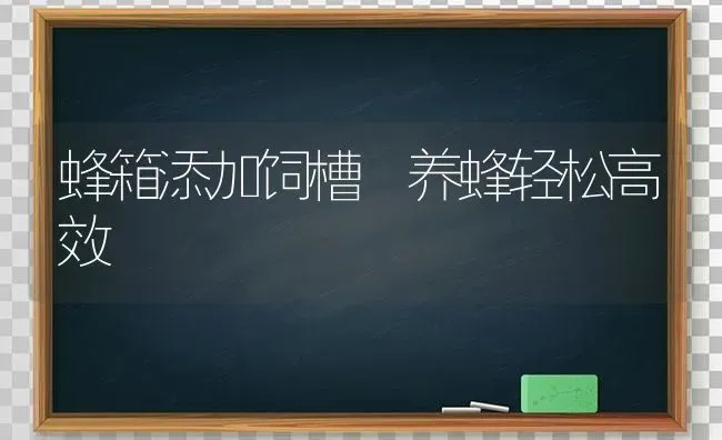 蜂箱添加饲槽 养蜂轻松高效 | 养殖技术大全