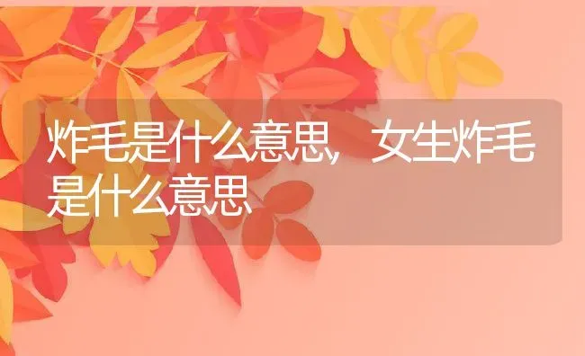 炸毛是什么意思,女生炸毛是什么意思 | 养殖资料