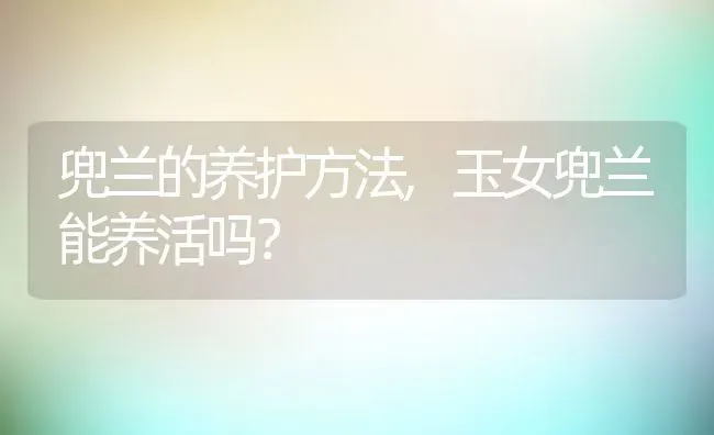 兜兰的养护方法,玉女兜兰能养活吗？ | 养殖科普
