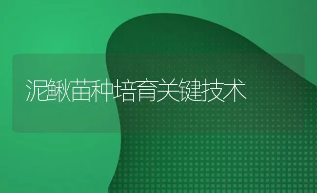 泥鳅苗种培育关键技术 | 养殖知识